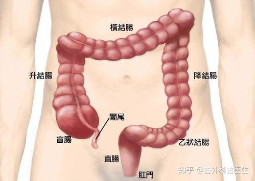 正确揉肚子手法视频,轻松缓解腹部不适