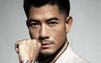 吃瓜放大镜娱乐圈,吃瓜放大镜下的光怪陆离