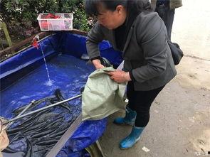 五一吃瓜群众视频