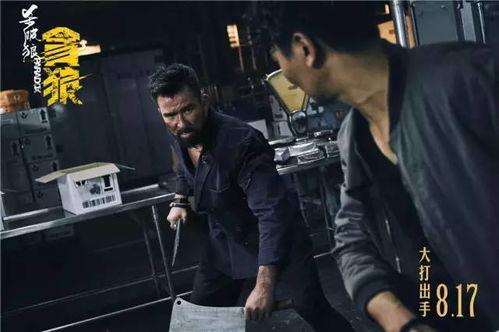 娱乐吃瓜君杀破狼,杀破狼背后的故事与真相